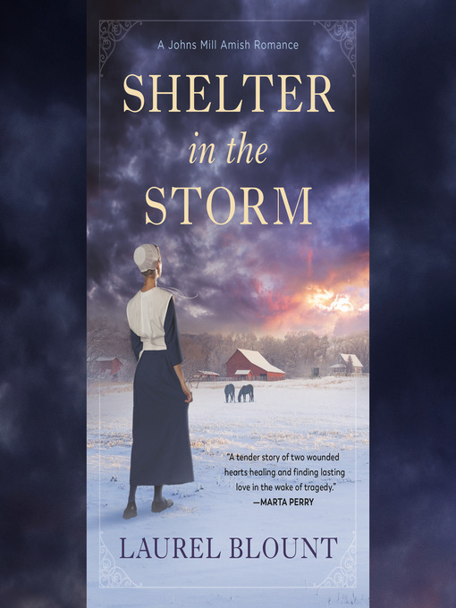Cover image for Shelter in the Storm